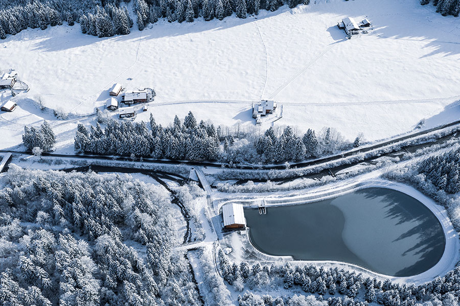 Dekoratives Bild Dekoratives Bild