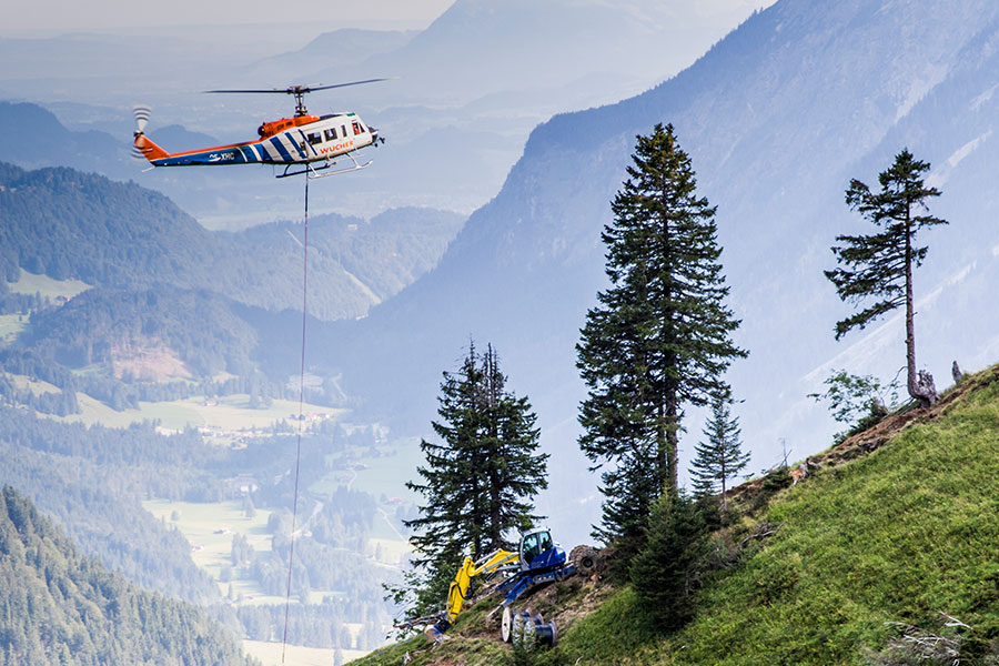 Dekoratives Bild Dekoratives Bild